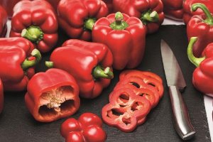 Pimiento california Kabuki de Syngenta