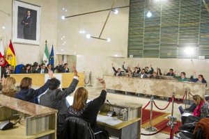 Votación en Pleno de uno de los puntos del orden del día