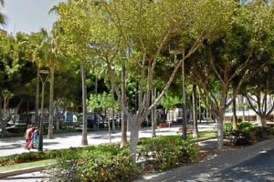 Zona en la que sucedieron los hechos