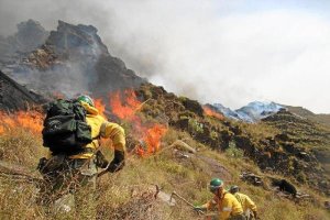 En pleno invierno ya ha habido que actuar contra el fuego