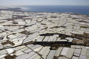 El Ejido alberga con creces la mayor concentración de invernaderos de Europa.