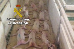 La Guardia Civil investiga los hechos.