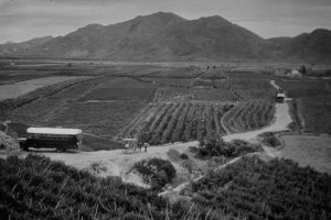 Estados Unidos trasladó a centenares de soldados a Palomares tras el accidente. 