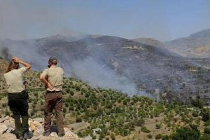 Los agentes forestales vigilan y cuidan de nuestros montes y ríos.
