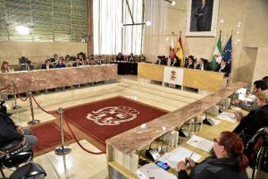 Imagen del Pleno en el Ayuntamiento de Almería