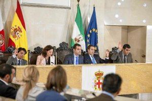 Imagen del Pleno en el Ayuntamiento de Almería