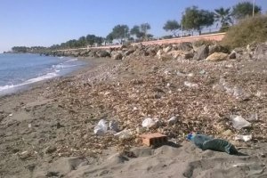 Imagen del estado de la playa de La Cañada