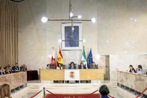 Sesión plenaria del Ayuntamiento de Almería
