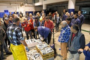 Visita de los candidatos del PP a la Lonja.