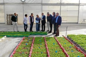 Visita   del delegado José Manuel Ortiz Bono a las instalaciones de la compañía. 