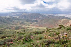 Vista de la zona de Presillas Bajas, en el Cabo de Gata.