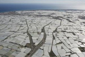 Imagen del mar de plástico de el Ejido.