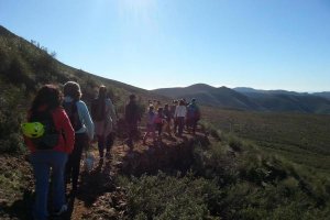 Sendero cerca de Castala