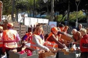 Cientos de personas se acercaron a recoger hortalizas