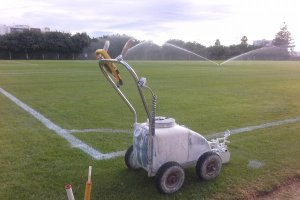 Nuevo césped en la Vega.