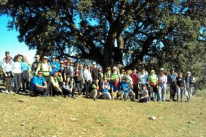 Un circuito muy concurrido.