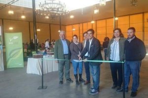 Inauguración Mercado Ecológico. 