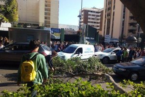 El árbol caído ha ocupado parte de la calzada