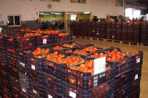 La s subasta  tuvieron unos precios espectaculares en septiembre y octubre.