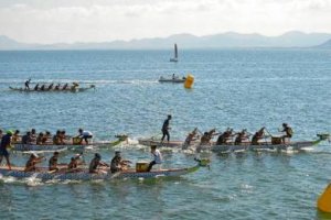 Los Troncos siguen creciendo.