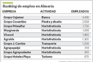 Ranking provincial de empresas con más empleados