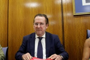 Comparecencia de Emilio de Llera