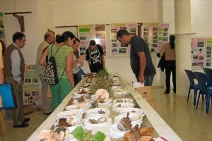 Muestra de las setas recogidas el año pasado