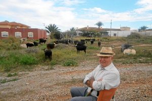 Un vecino vigila sus cabras en Palomares, a pocos kilómetros de la zona restringida.
