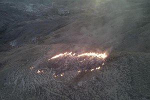 Imagen del fuego de esta tarde (Plan Infoca).