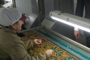 Una planta de procesado de almendra en Albanchez.