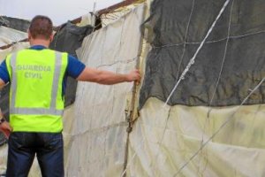 Un agente, junto al invernadero donde ocurrieron los hechos.