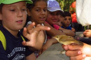 Un niño en el humedal de Adra