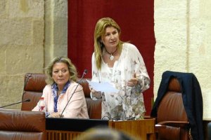 Espinosa (de pie) durante su intervención. 