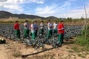 Un grupo de menores en una de las fincas. 