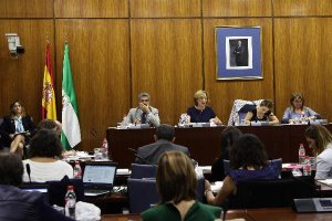 La consejera Carmen Ortiz, durante su intervención en el Parlamento.