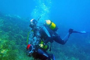 No te pierdas esta aventura submarina.