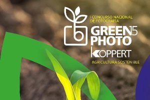 Cartel del concurso de Koppert.