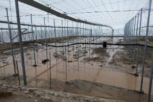 Invernadero anegado por el agua.