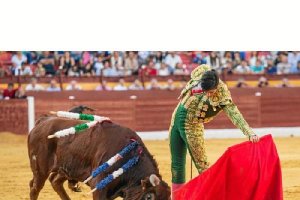 Roldán suerte cargada y la muleta en la izquierda. 