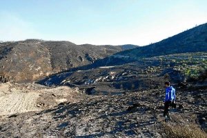 El incendio afectó a varios municipios de la Sierra de Gádor. 