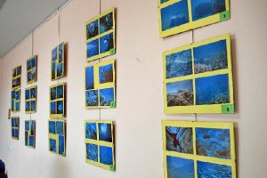 Algunas de las imágenes expuestas.