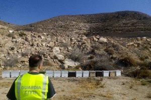 Colmenas recuperadas por la Guardia Civil.