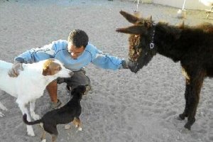 El burro en las instalaciones de La Huella Roja.