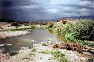Aspecto del Río Andarax en la zona afectada por los vertidos. 