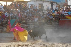 Jose Cabrera torea a la verónica al segundo de su lote en la plaza de Talanqueras de La Calahorra.