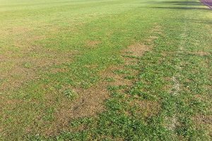 El Anexo sigue con zonas en muy mal estado.