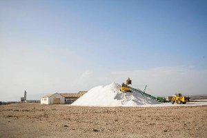 Ya se han extraido 20.000 Tm de sal.