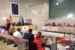 Pleno del Ayuntamiento de Almería celebrado ayer.