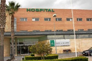 La mujer herida ha sido trasladada al Hospital de La Inmaculada.