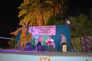 El Festival fue creado por aficionados de Pechina y desde hace 20 años lo organiza El Yunke.